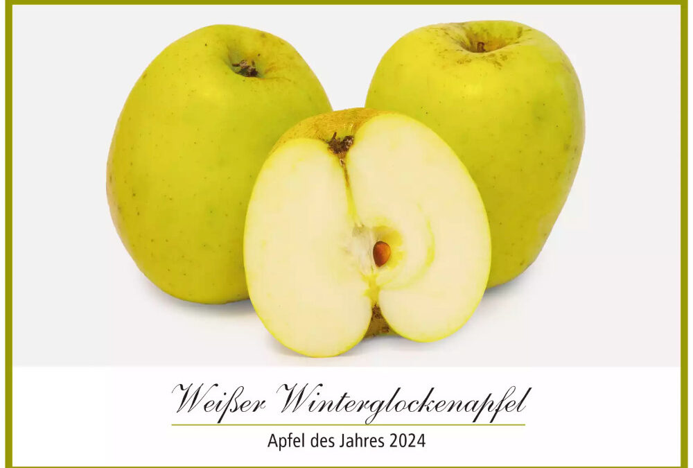 Tag des Apfels 2024 – Norddeutsche Apfeltage